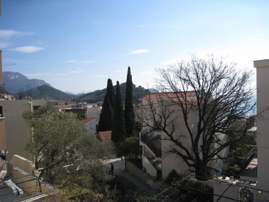Apartment Stana Petrovac Exterior foto